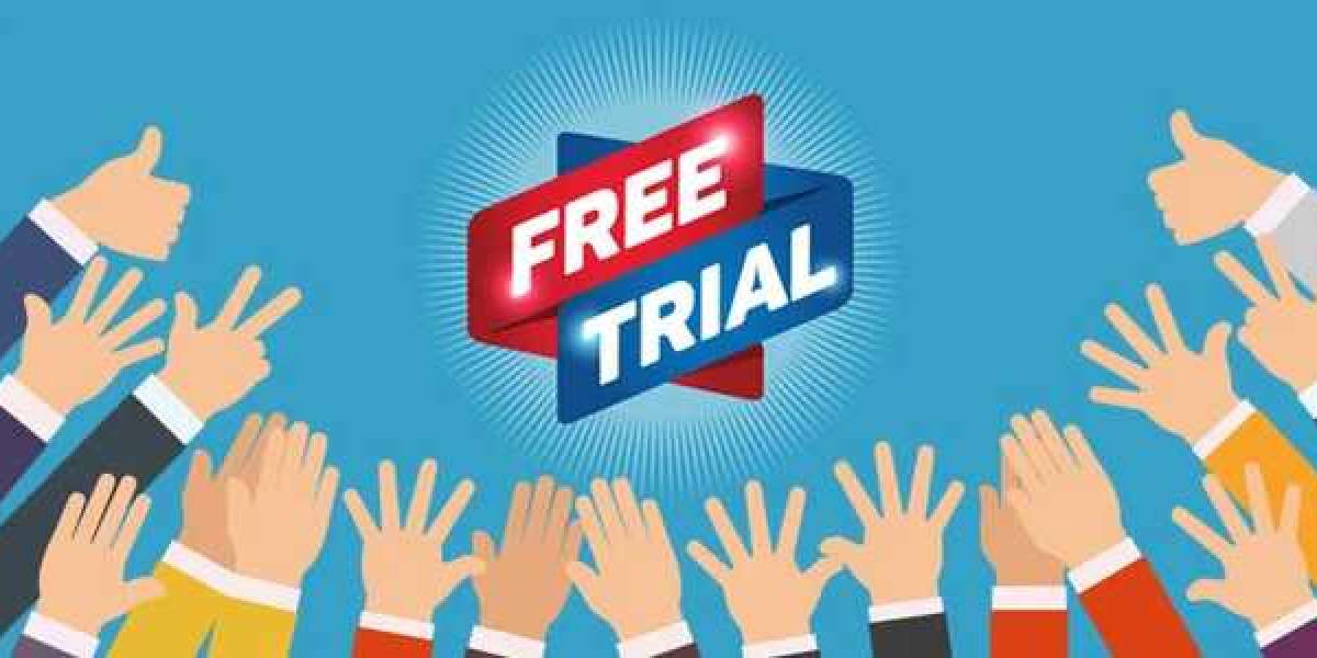 Three Issues To Do Immediately About Free Trial Seo Service